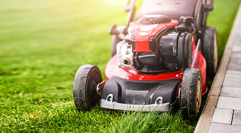 Lawn Maintenance Tips and Tricks