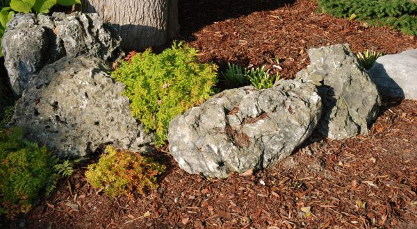 Mini Moss Rock/Weathered Limestone