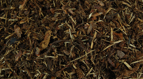 Shredded Pine Mulch