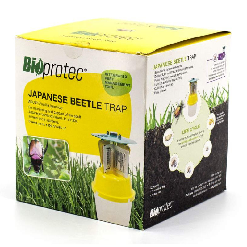 Japanese Beetle Trap 