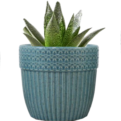 Blue Ceramic Pots - Set of 3