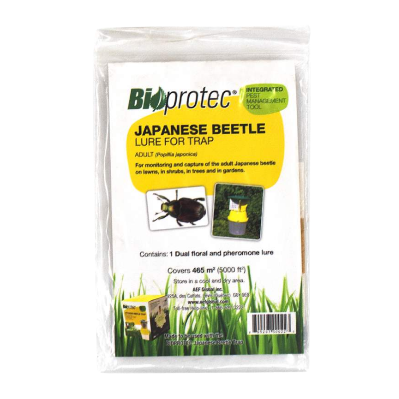 Japanese Beetle Lure
