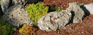 Mini Moss Rock/Weathered Limestone